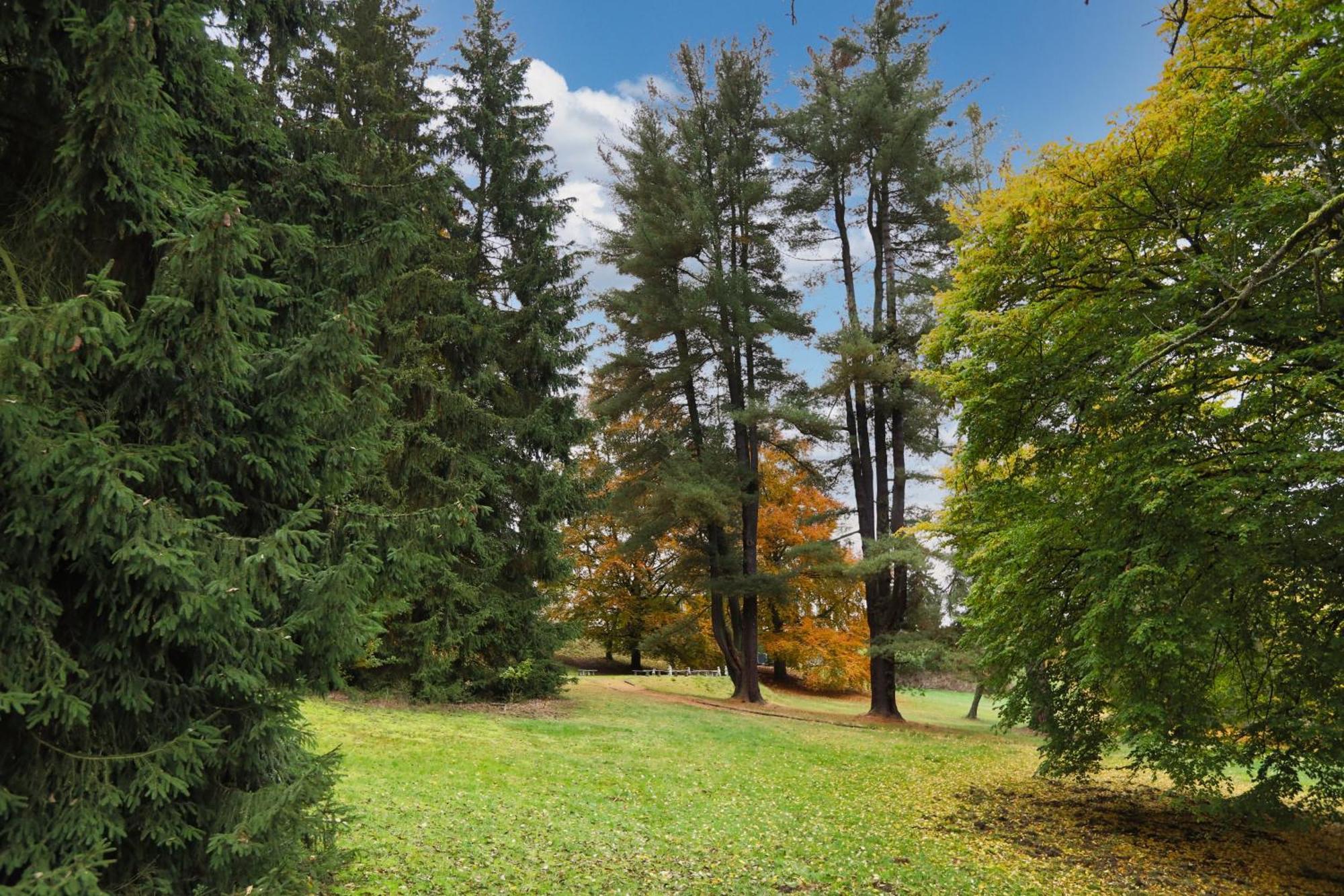 Pension U Golfu Cihelny Карлові Вари Екстер'єр фото
